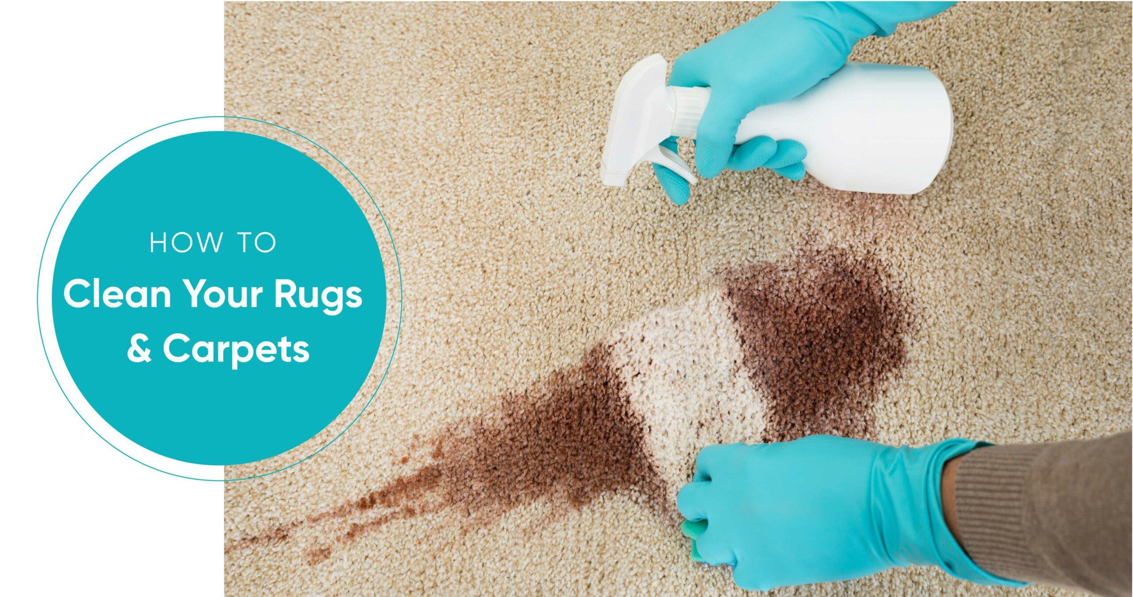 How to Clean Carpets and Rugs Without Professional Help