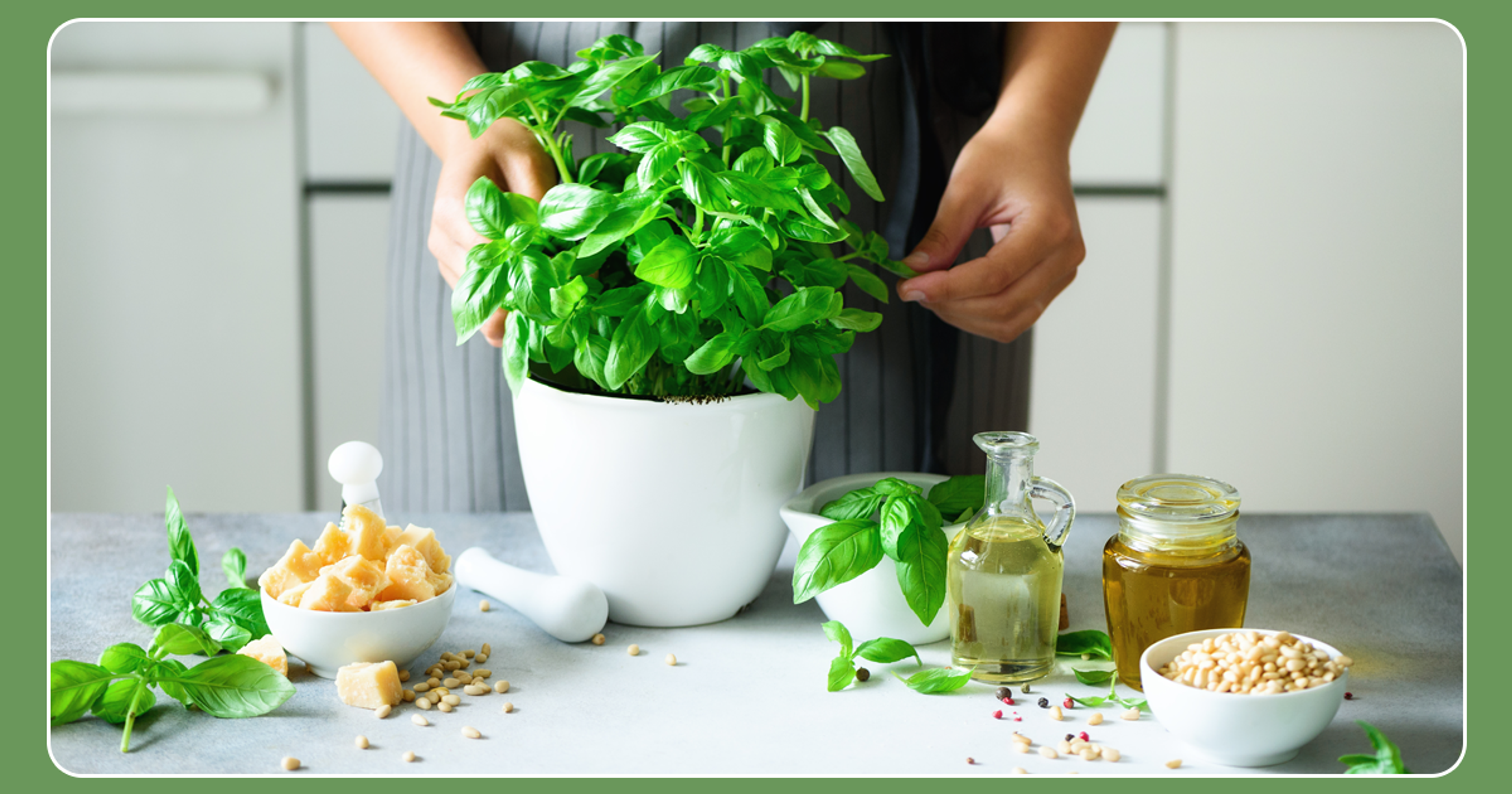 Indian herbs kitchen-cover