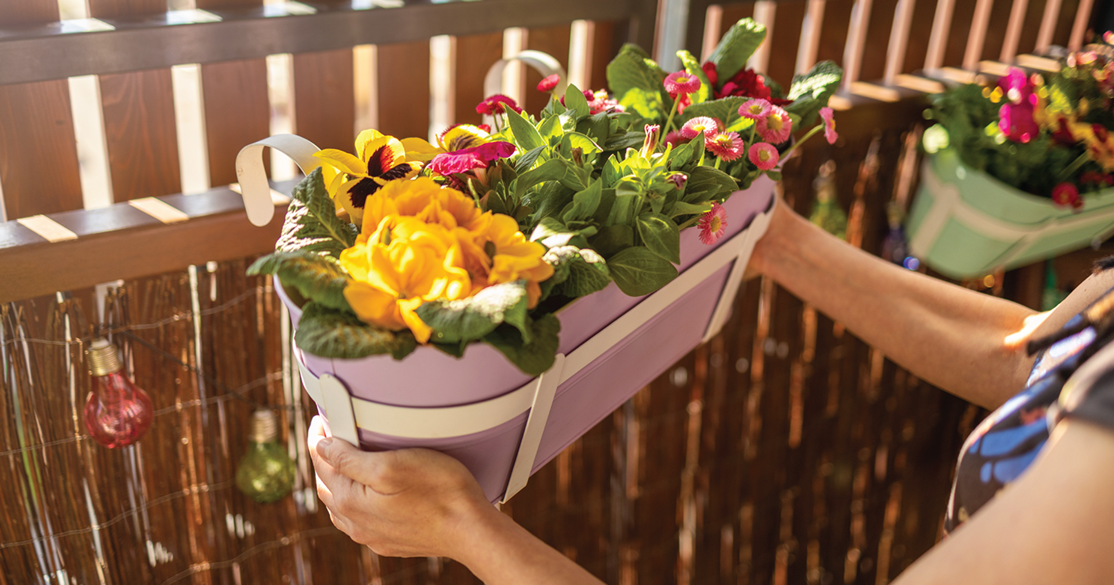 How to Keep Your Plants Cool and Thriving this Upcoming Summer