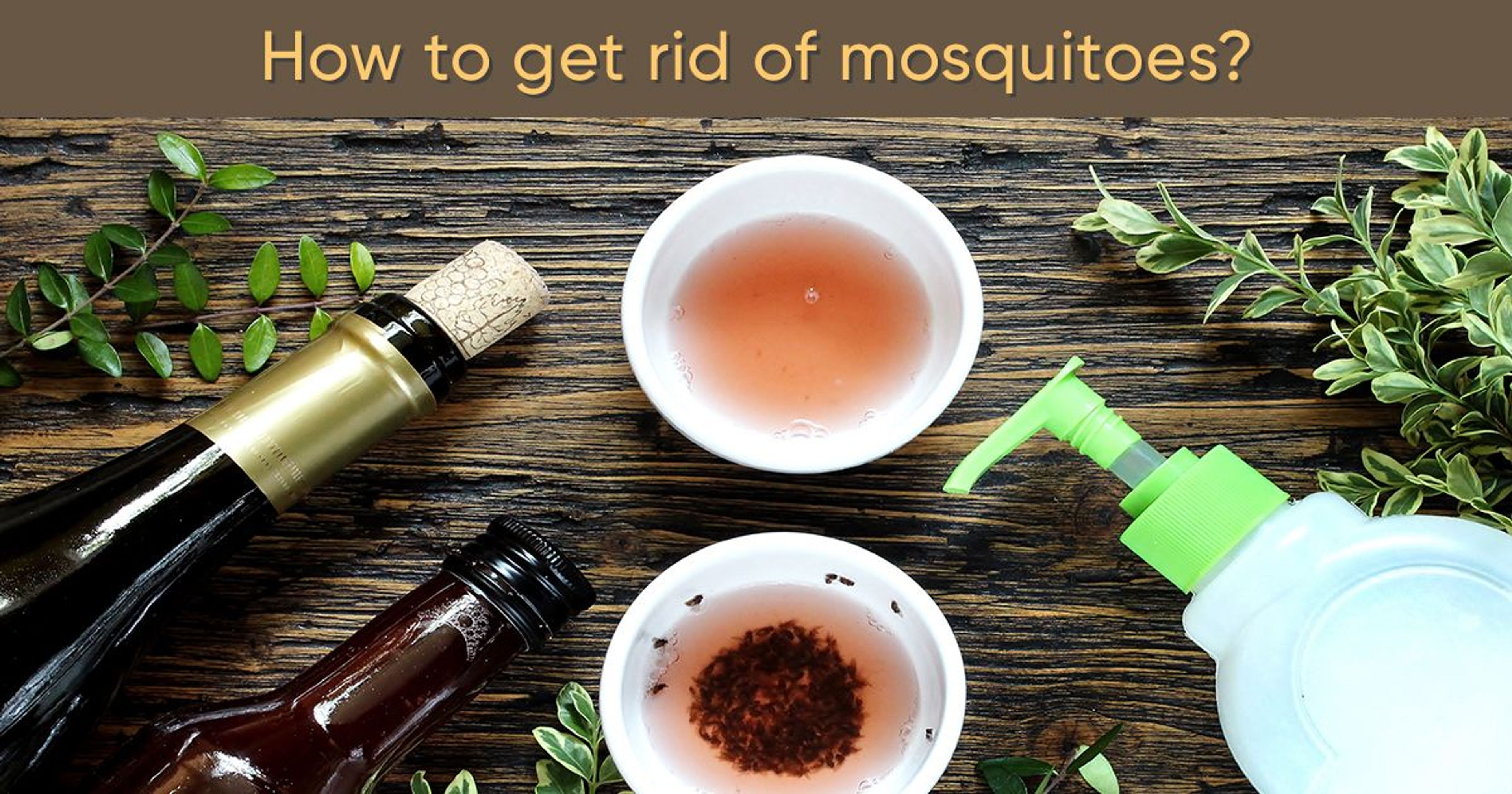 How To Get Rid of Mosquitoes at Home? Here Are 20+ Home Remedies and Hacks