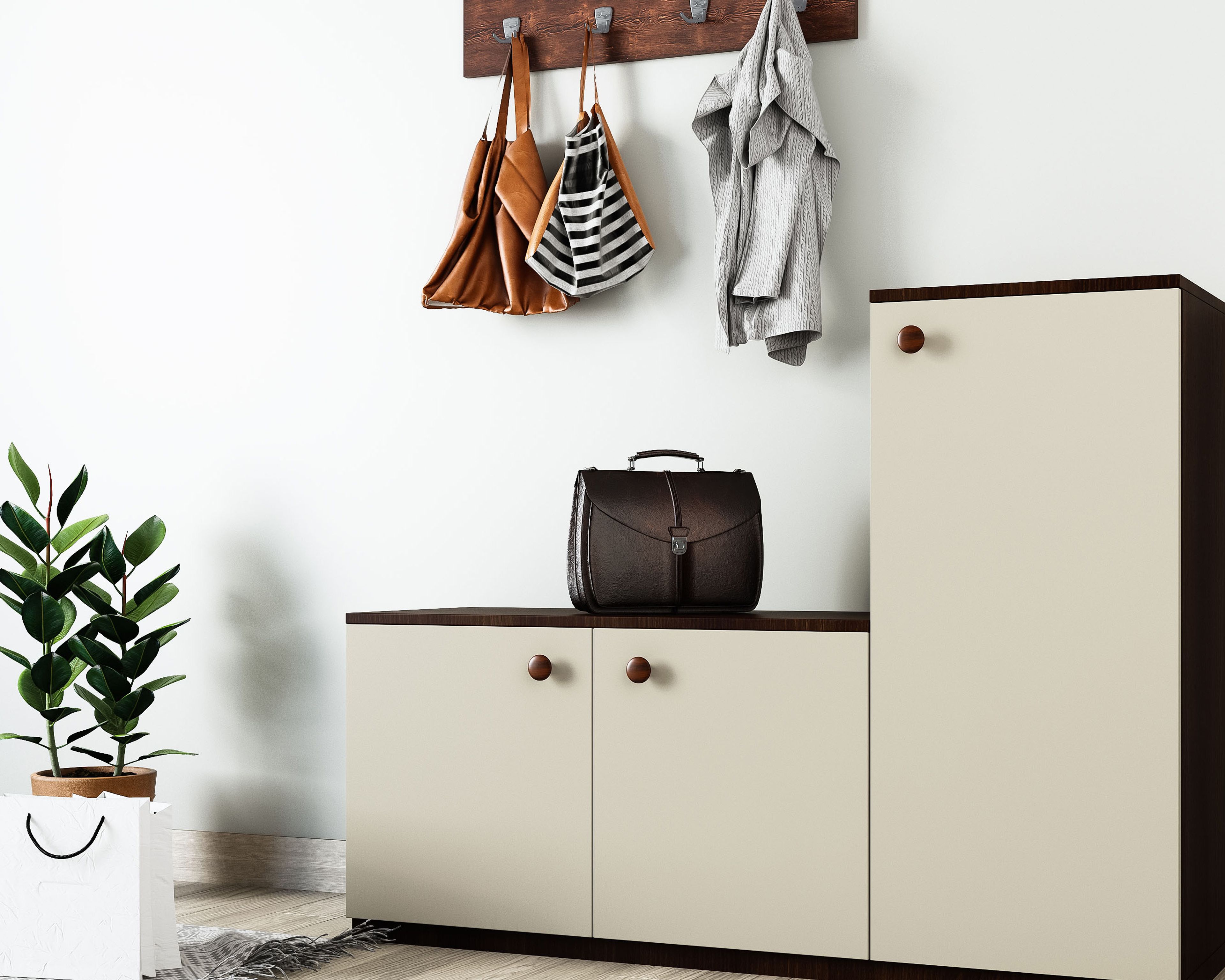 Foyer Design with Wooden Hanger and Shoe Cabinet