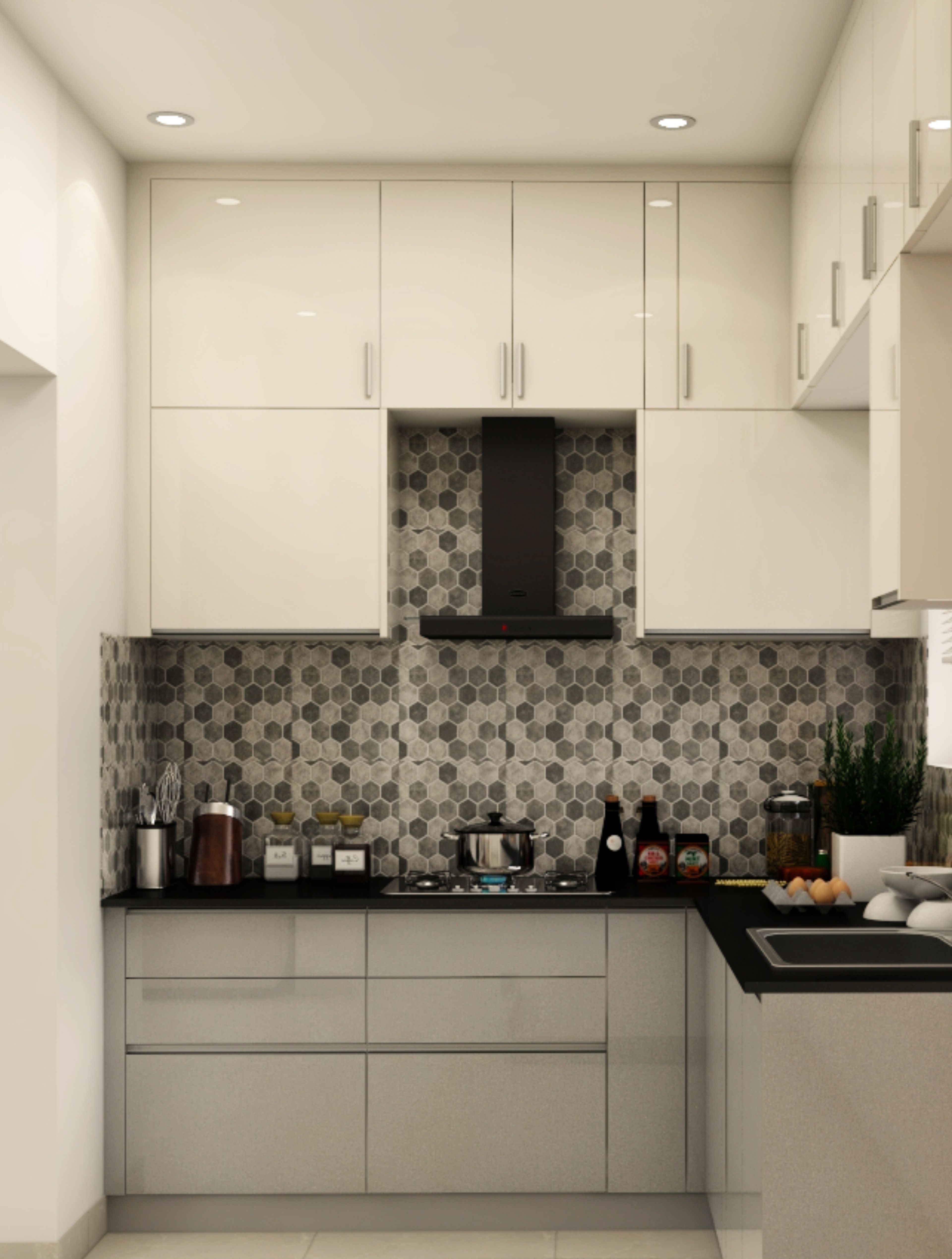 Grey-White Contemporary Kitchen