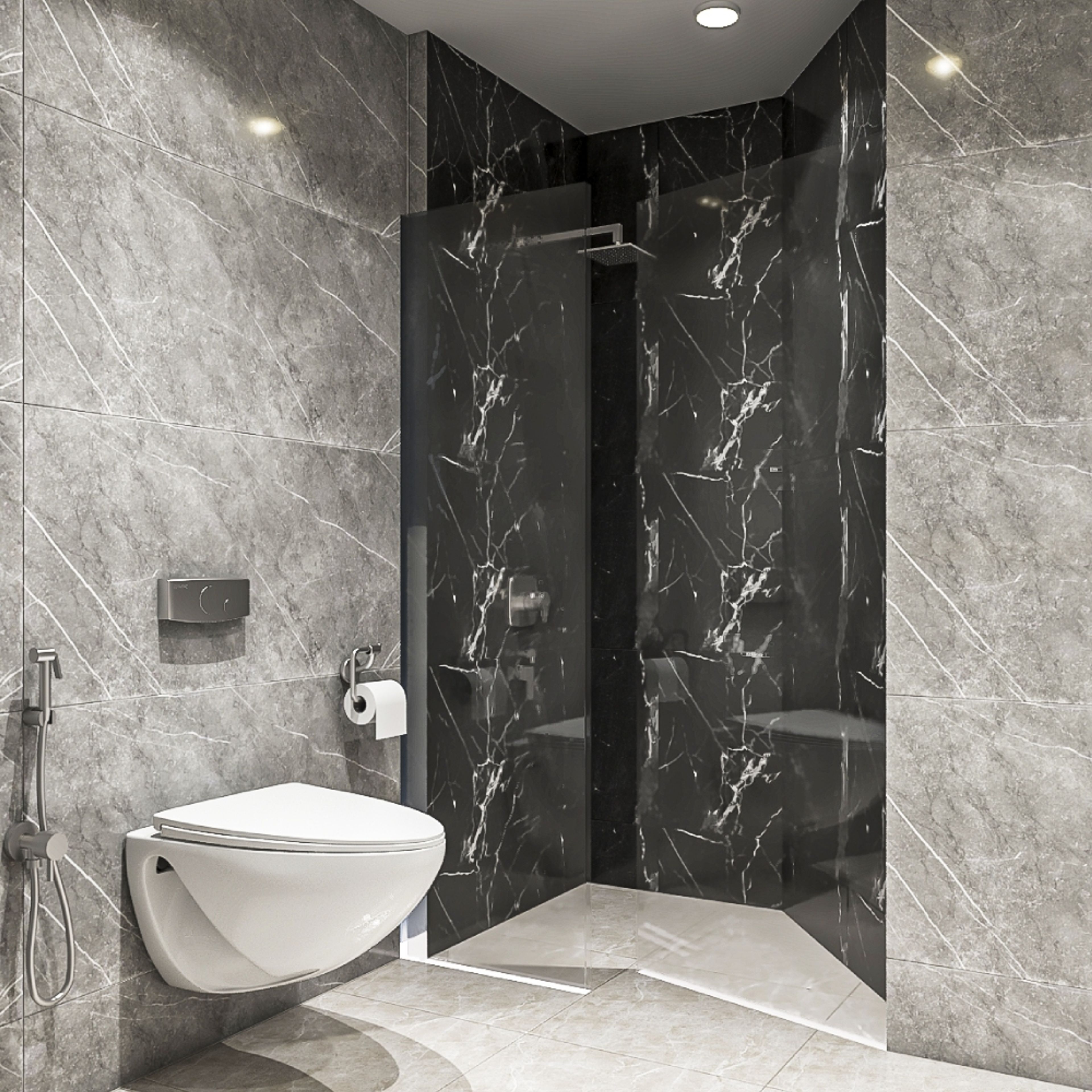 Bathroom Design with Glass Partition Shower Area