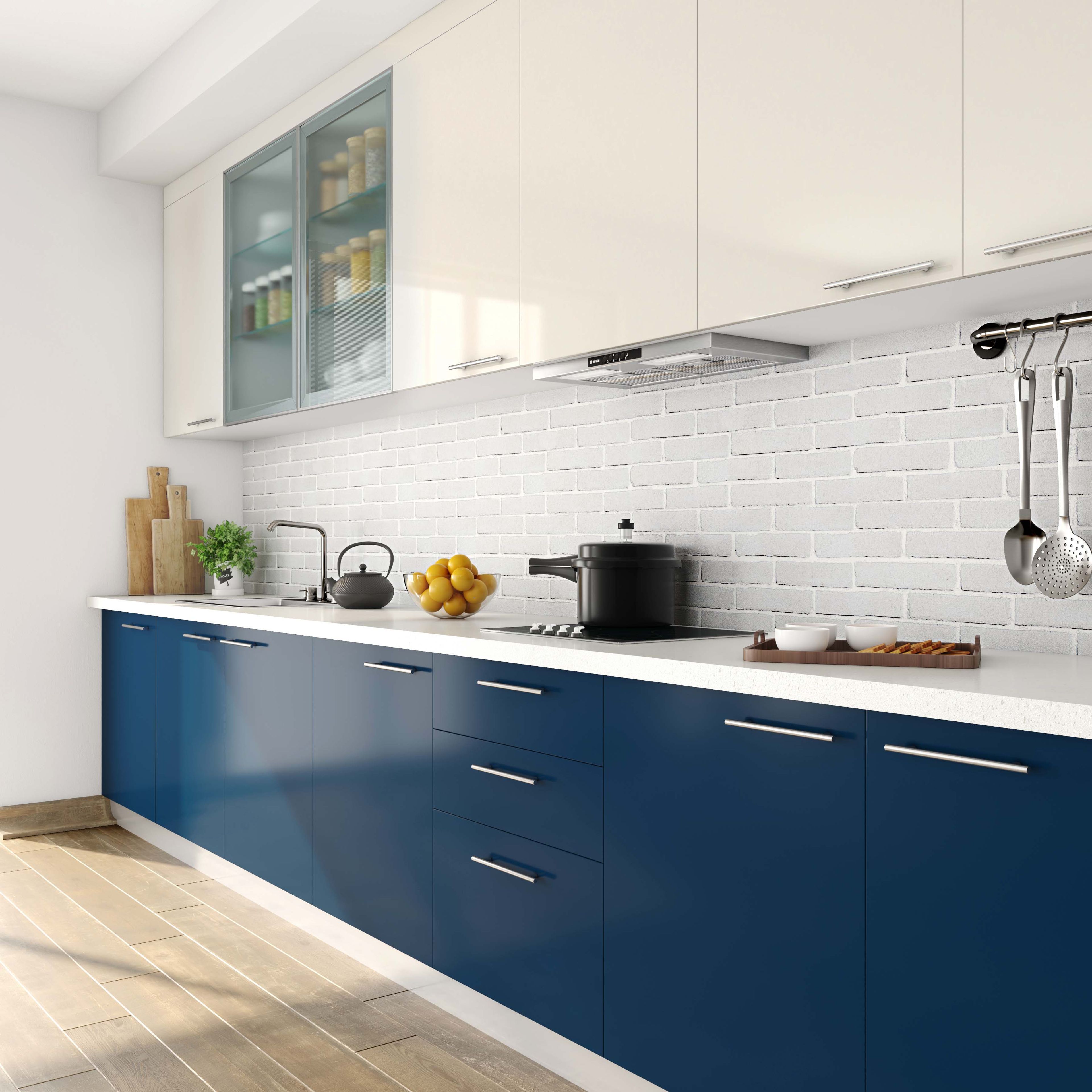 Modern Blue and White Open Kitchen Design