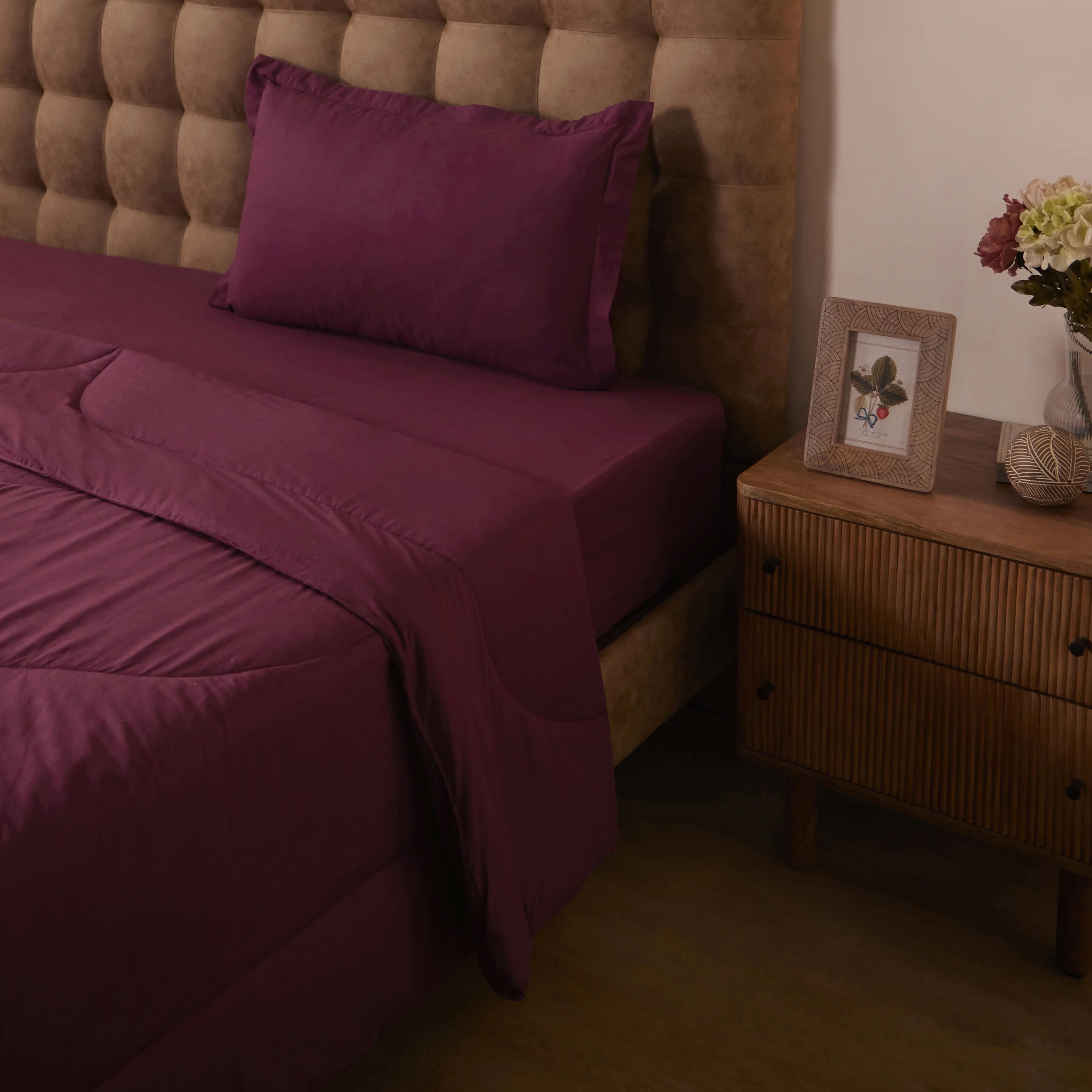 Paleto | Everyday Hues Cotton Solid Dyed 120GSM Comforter-Windsor Wine
