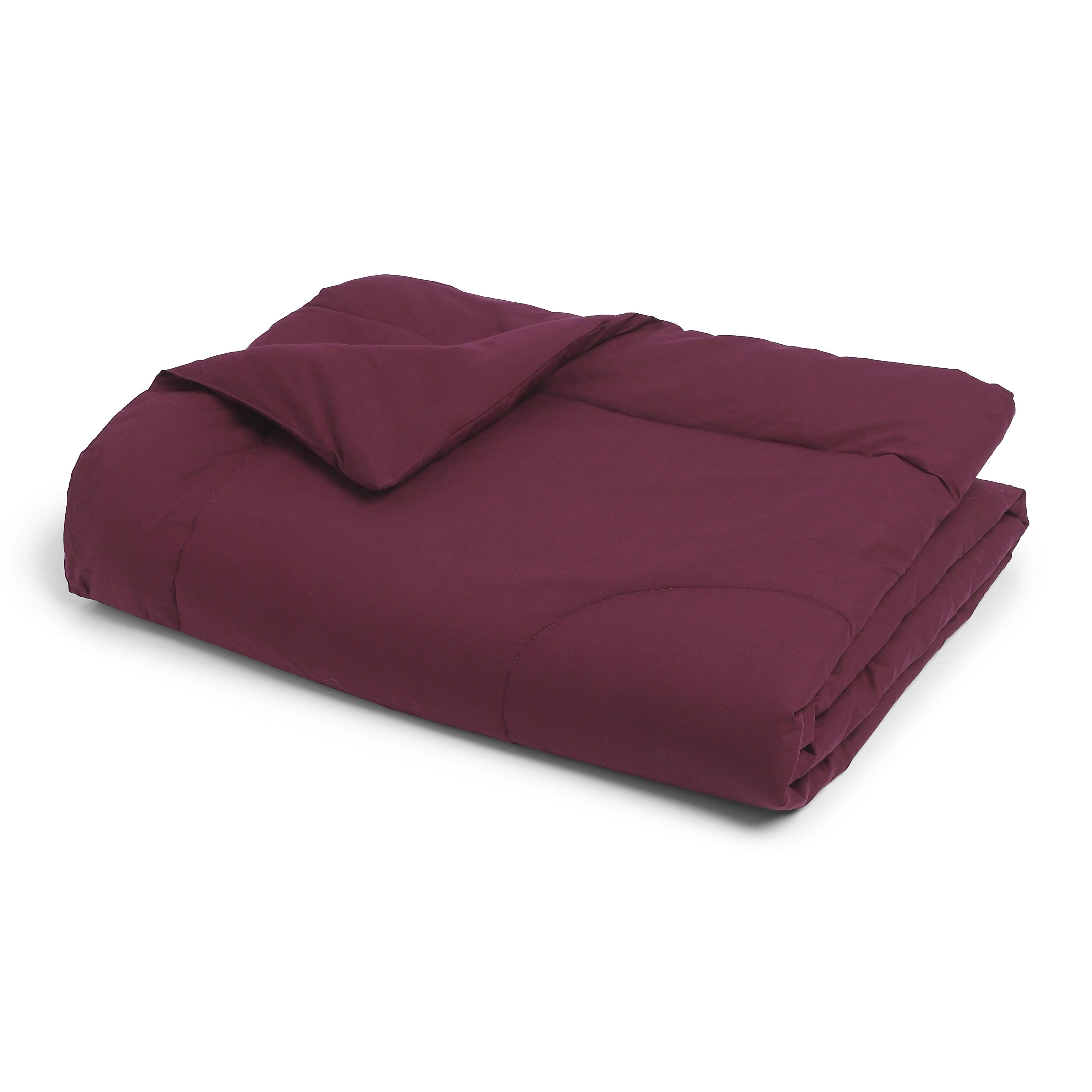 Paleto | Everyday Hues Cotton Solid Dyed 120GSM Comforter-Windsor Wine