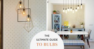 Blog cover Types of Bulbs