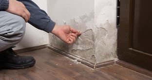 prevent-damp-walls-cover