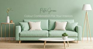 pista green colour combination