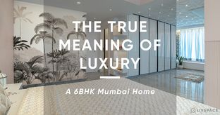 Transline 6 BHK Livspace home