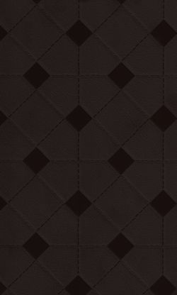 Beaver, Quilted