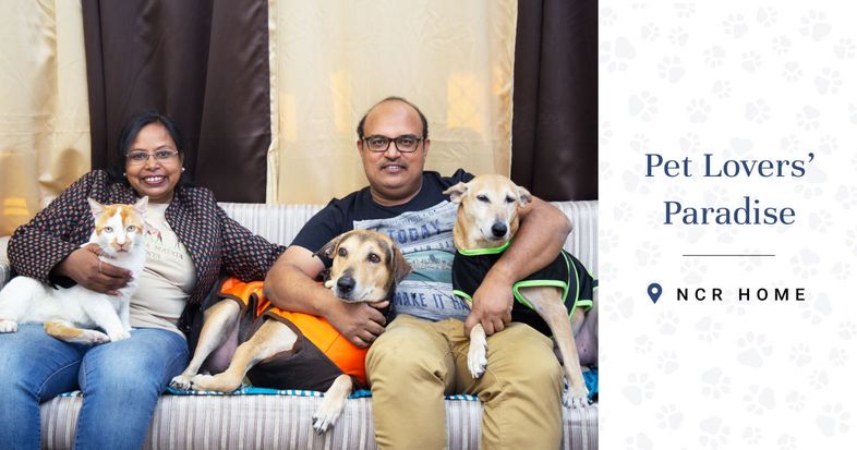 aditya world city cover