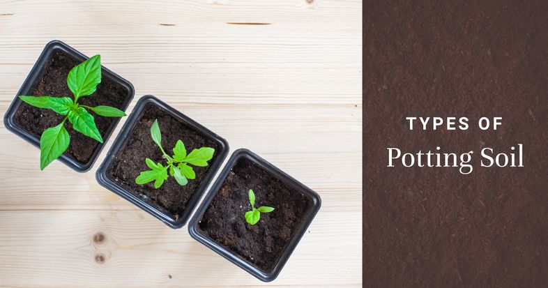 Potting soil blog cover