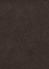 Essential_Maple