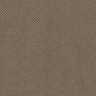 Antique Camel_Elite