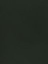 Dark Forest Mystique_Leather Premium