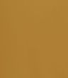 Golden Temple Aura_Leather Essential
