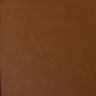 Ritz Tan