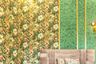 Floral Wallpaper Design For Bedrooms With Golden Inlays - Livspace