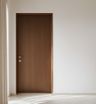 Swing Entrance Door Design in Clean Matte Finish