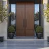 Double Entrance Door Design With Matte Finish
