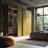 2-Door Wardrobe Design with Reflective Yellow Glass Shutters