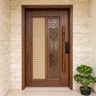 Entrance Door Design with Single Swing Panel and Matte Finish