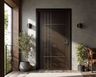 Swing Single Panel Contemporary Entrance Door Design with Matte Profile