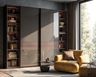Contemporary Brown and Wood 2-Door Sliding Wardrobe Design with Glass Panels