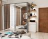 Contemporary Mirror Wardrobe - Livspace