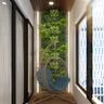 Closed Balcony Design With Nest Swing, Wooden Flooring And False Ceiling With Vertical Wall Garden - Livspace