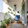 Balcony Design with Hanging Plants
